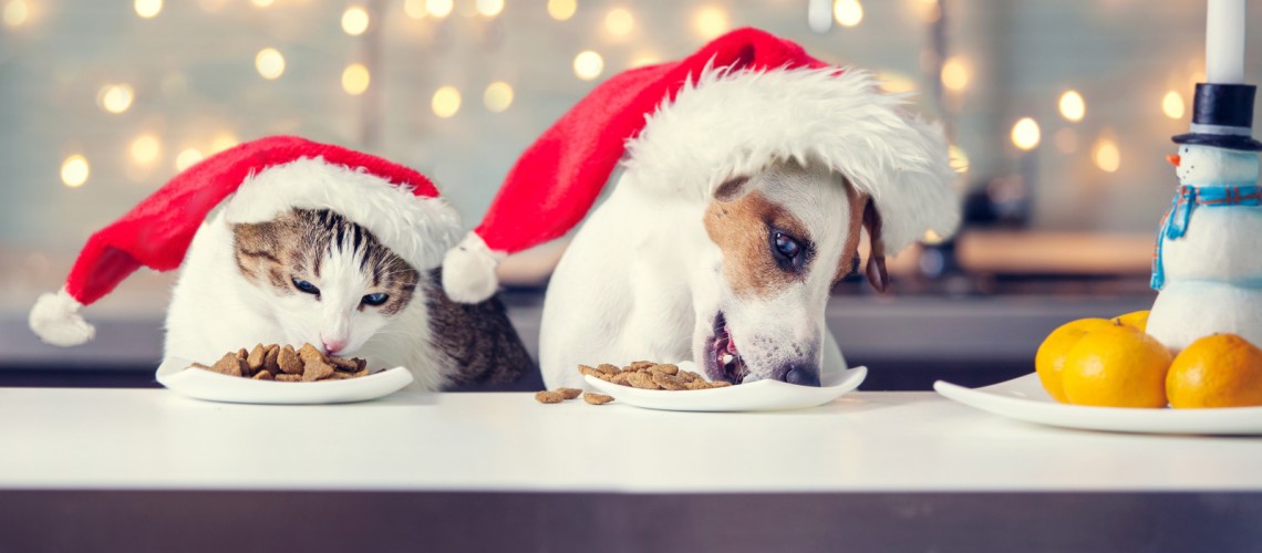 Christmas, Pets and Presents